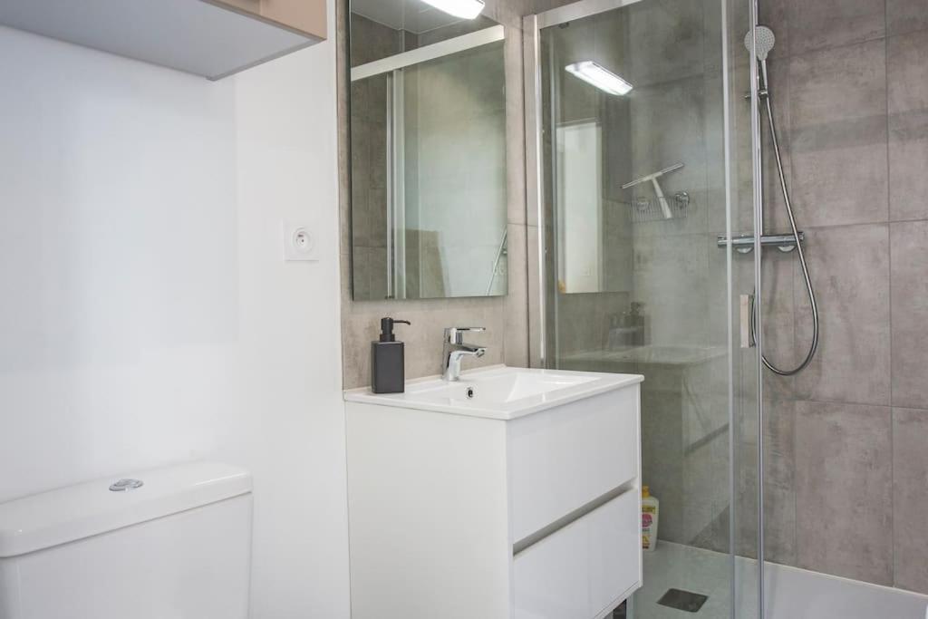 Bel Appartement Lumineux Proche Du Centre-Ville Douai Eksteriør bilde
